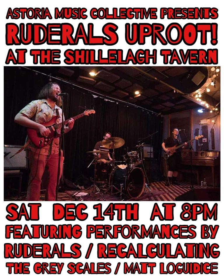 Flier, Ruderals, Recalculating, The Grey Scales and Matt Loguidice, Shillelagh Tavern, Astoria, Queens, December 14, 2019